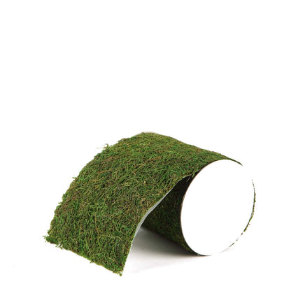 Green preserved moss ribbon roll for DIY crafts, 4ft 5" wide.