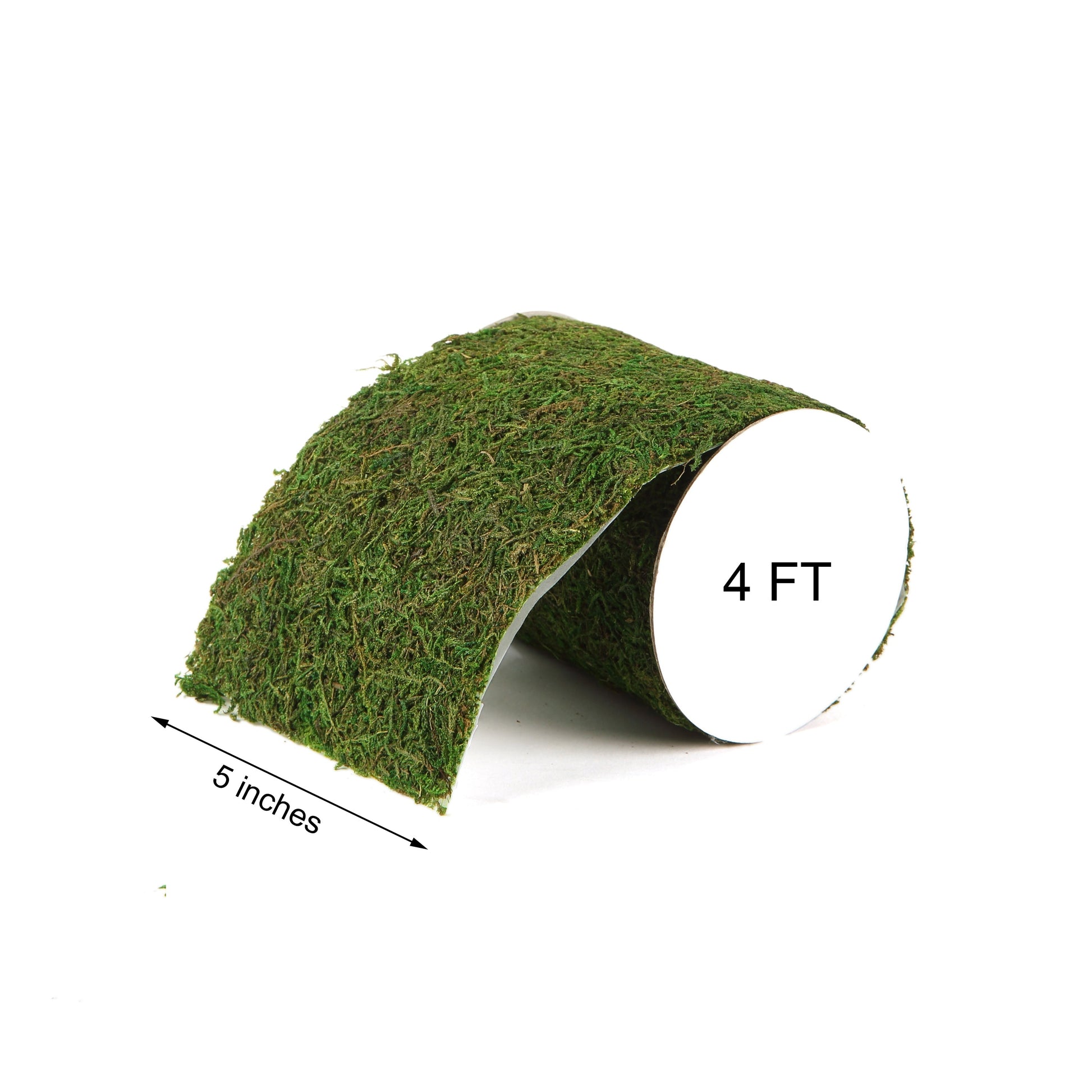 4ft 5" Wide Green Preserved Moss Ribbon Roll for DIY Crafts