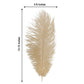 Beige natural ostrich feather, 13"-15", perfect for DIY centerpieces.