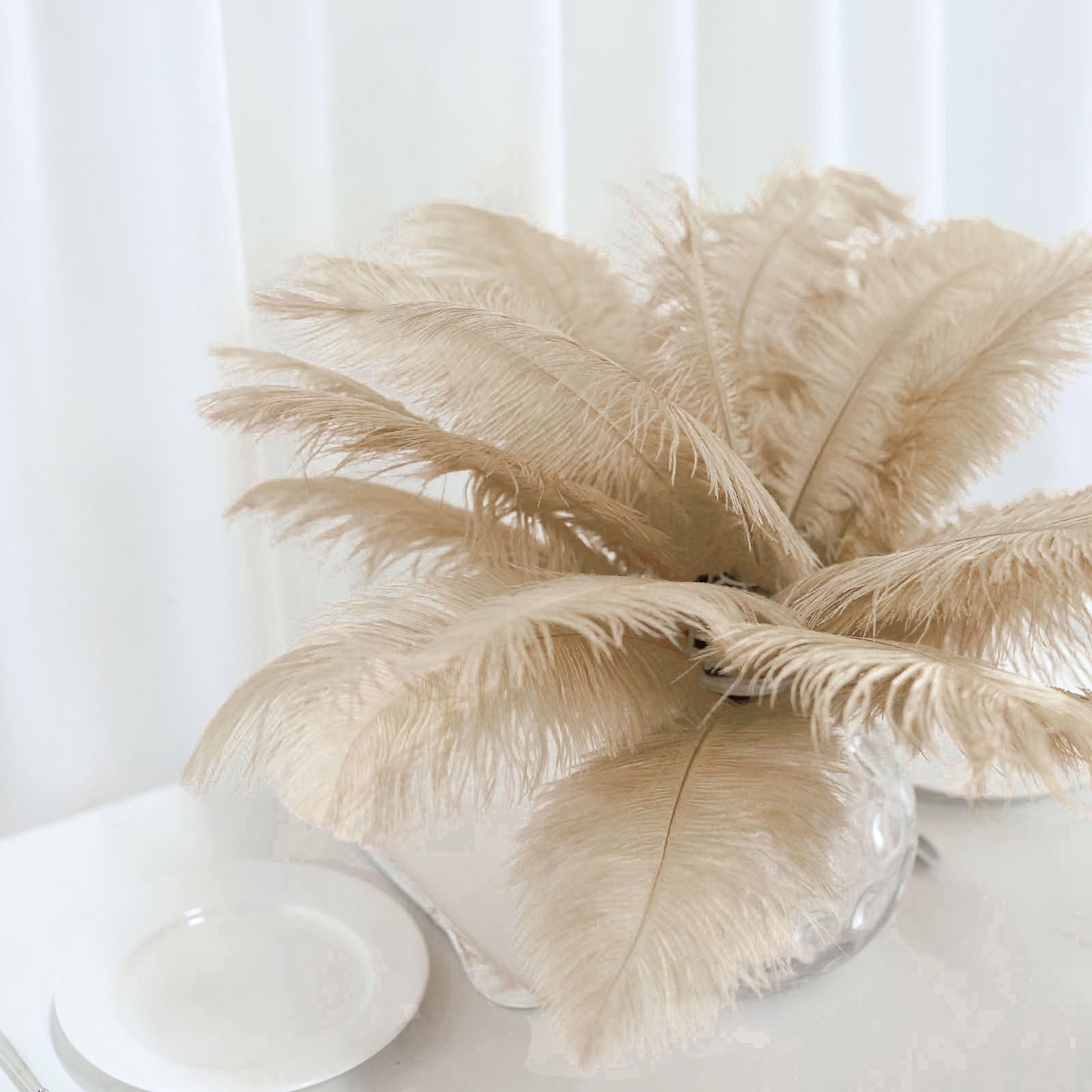 Beige natural plume ostrich feathers in a centerpiece arrangement.