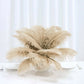 Beige natural plume ostrich feathers in a decorative centerpiece.