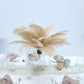Beige natural plume ostrich feathers in a vase centerpiece arrangement.