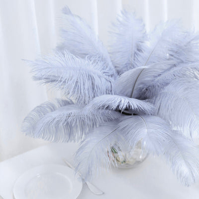 Versatile Decoration Options with Natural Ostrich Feathers