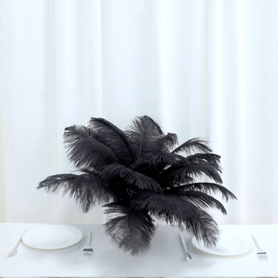 Elevate Your Centerpieces with Real Ostrich Feathers