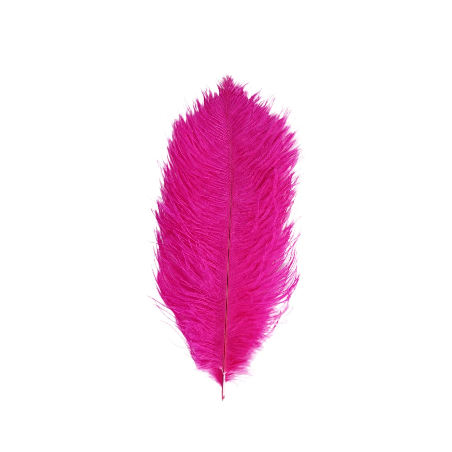 12 Pack | 13-15inch Fuchsia Natural Plume Real Ostrich Feathers, DIY Centerpiece Fillers