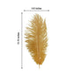 Gold natural plume ostrich feathers, 13"-15", perfect for DIY centerpieces.