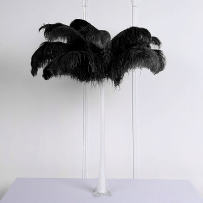 Versatile Uses of Ostrich Feathers in Decor