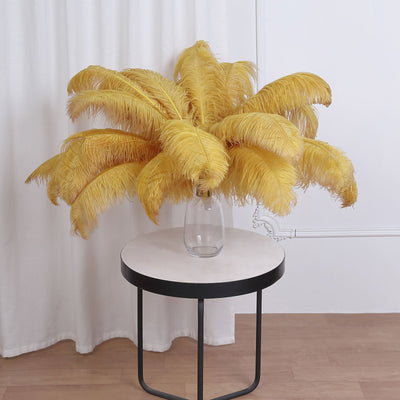 Elevate Your Event with Gold Natural Plume Ostrich Feathers