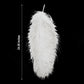 12 Pack | 24"-26" White Natural Plume Ostrich Feathers Centerpiece