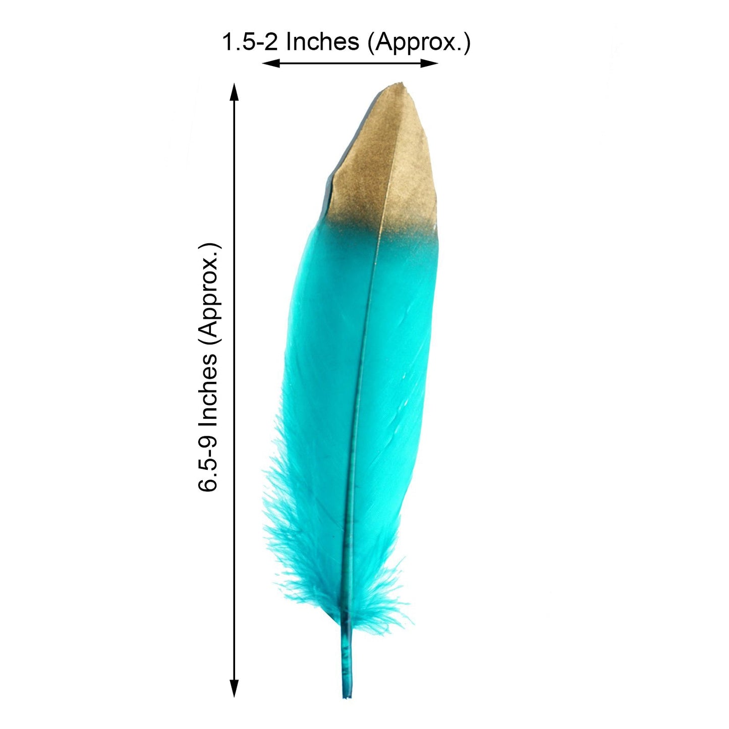Metallic gold dipped turquoise real goose feathers for decoration.
