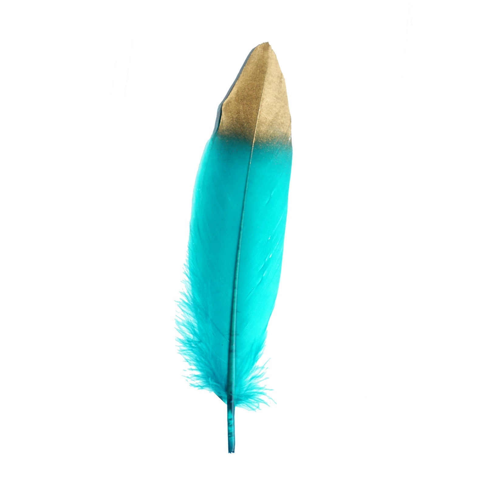 Metallic gold dipped turquoise real goose feather for craft decoration.