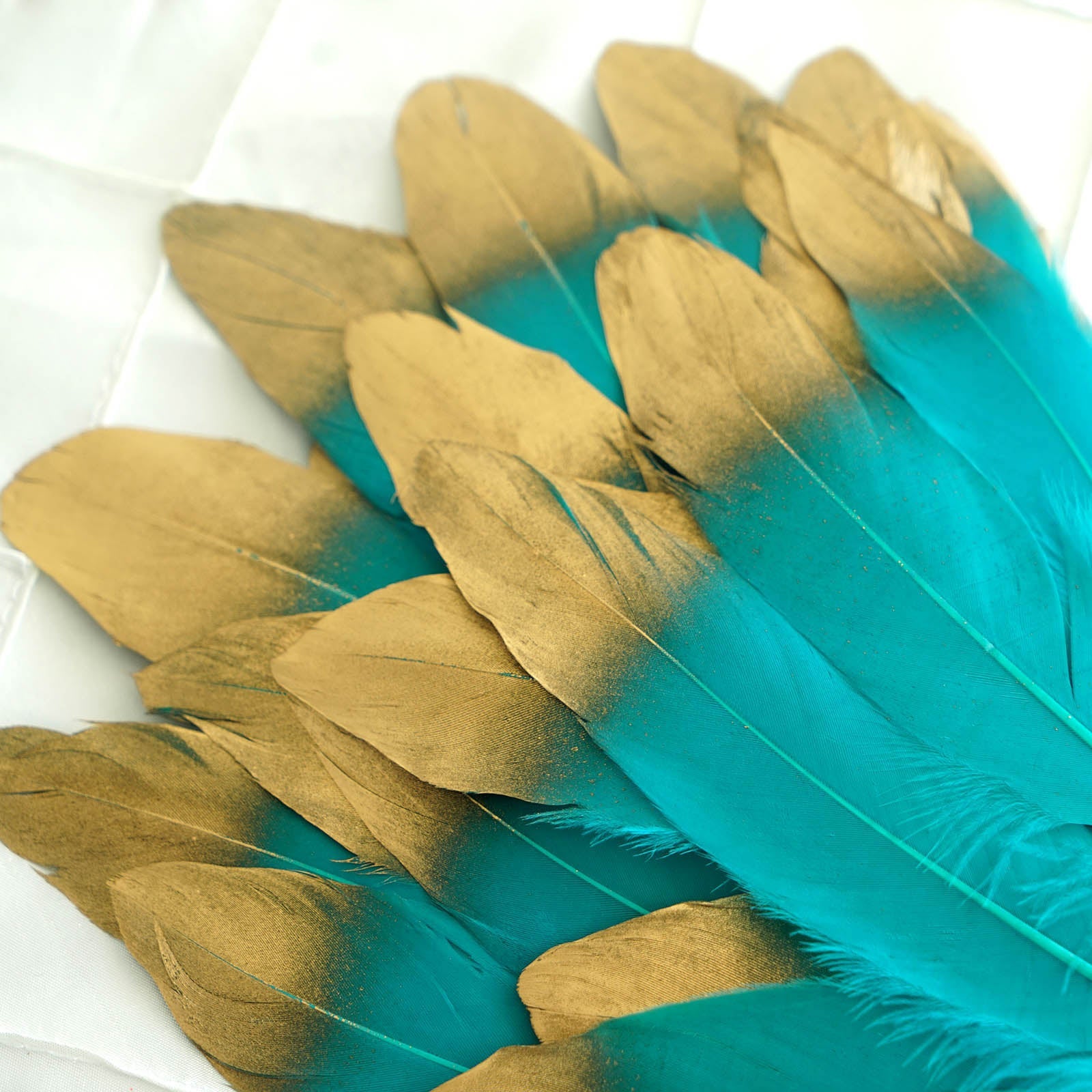 Metallic gold dipped turquoise feathers for craft and decoration.