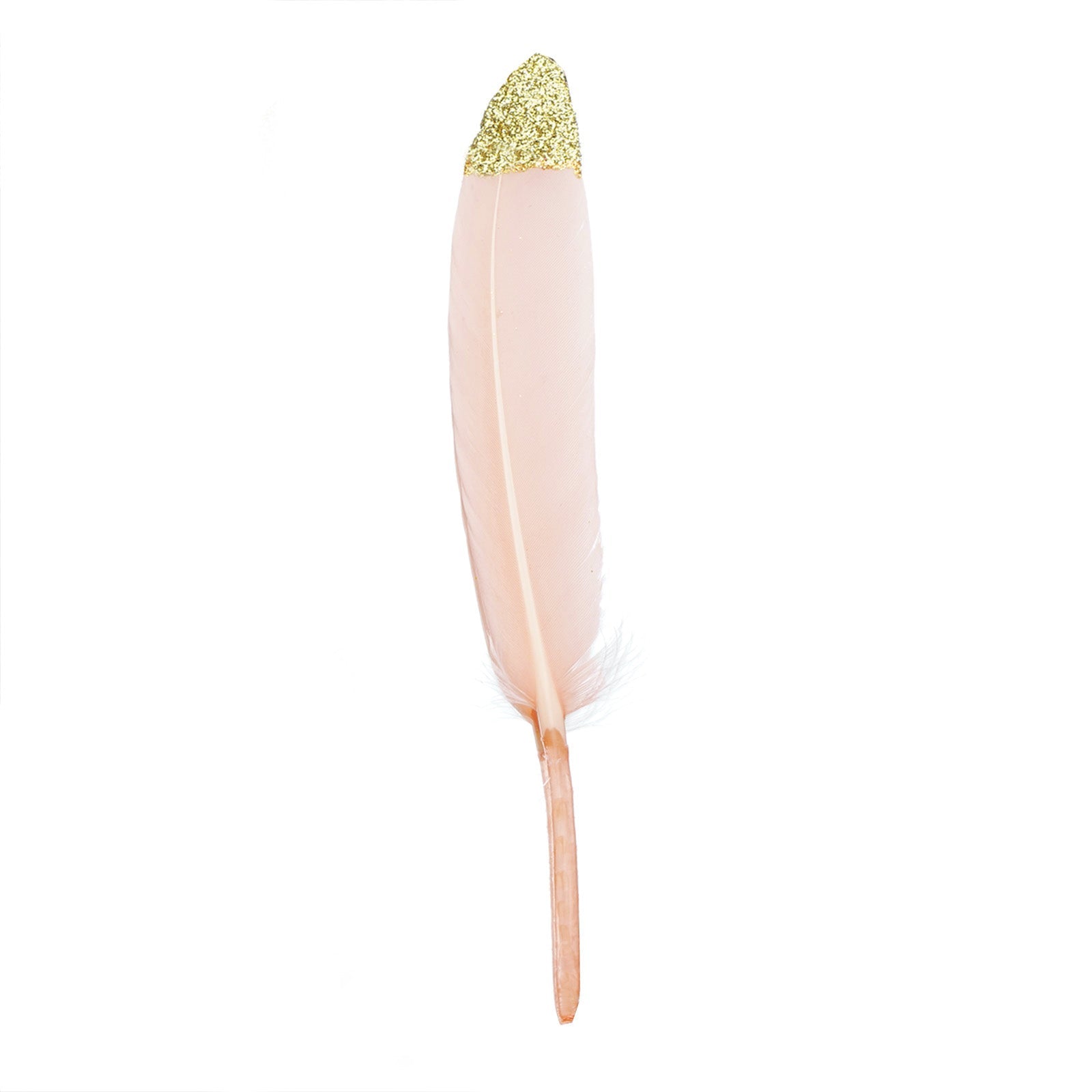 Blush feathers with glitter gold tips for craft and party decoration.