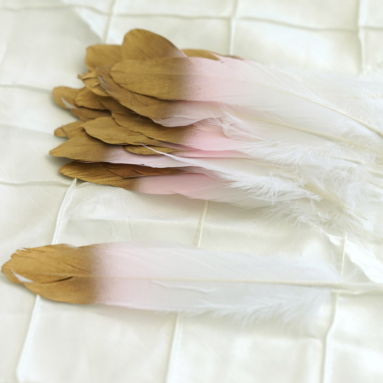 Metallic gold tip dual tone blush white craft feathers for party decoration.