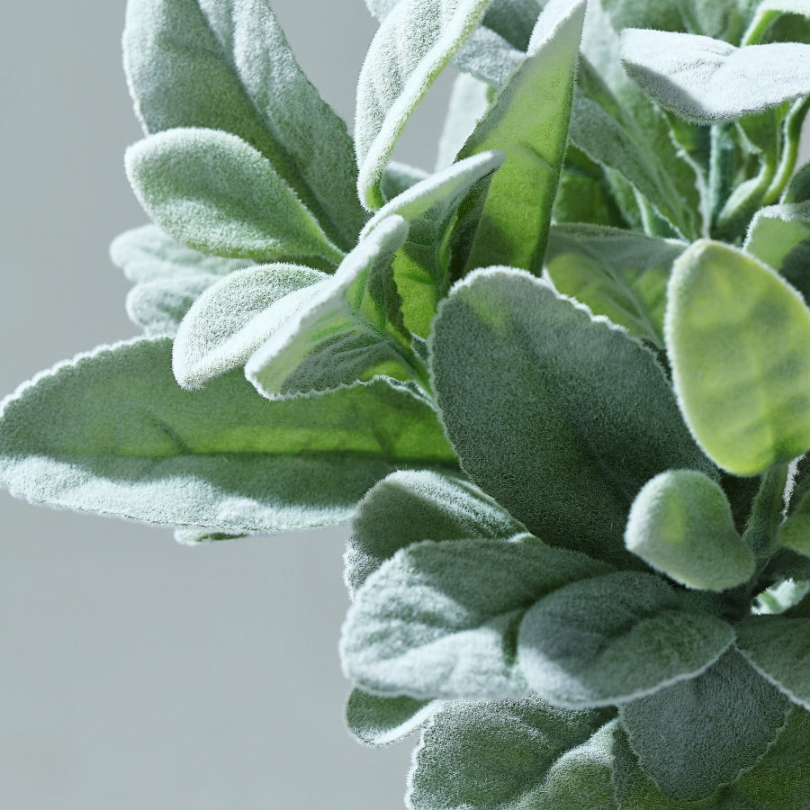 Frosted green artificial lambs ear leaf indoor plant faux bush.