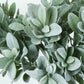 Frosted green artificial lambs ear leaf plant, 24" tall, with 2 stems.