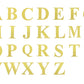 Metallic Gold Stick-On Letters 4 Pack 5 Inch Alphabet Symbol "&"