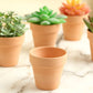 2.5 Inch Ceramic Terracotta Mini Pots Plants Clay Flowers 24 Pack