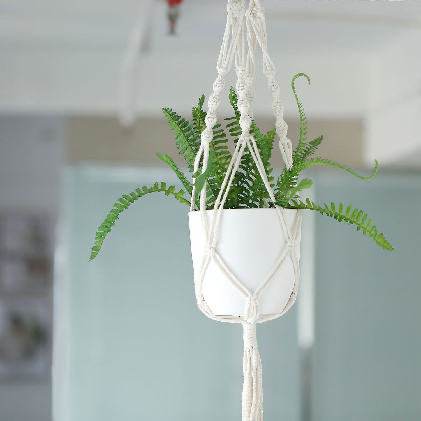 Ivory macrame hanging planter basket with tassel and greenery.