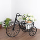 Metal Tricycle Plant Basket 22 Inch