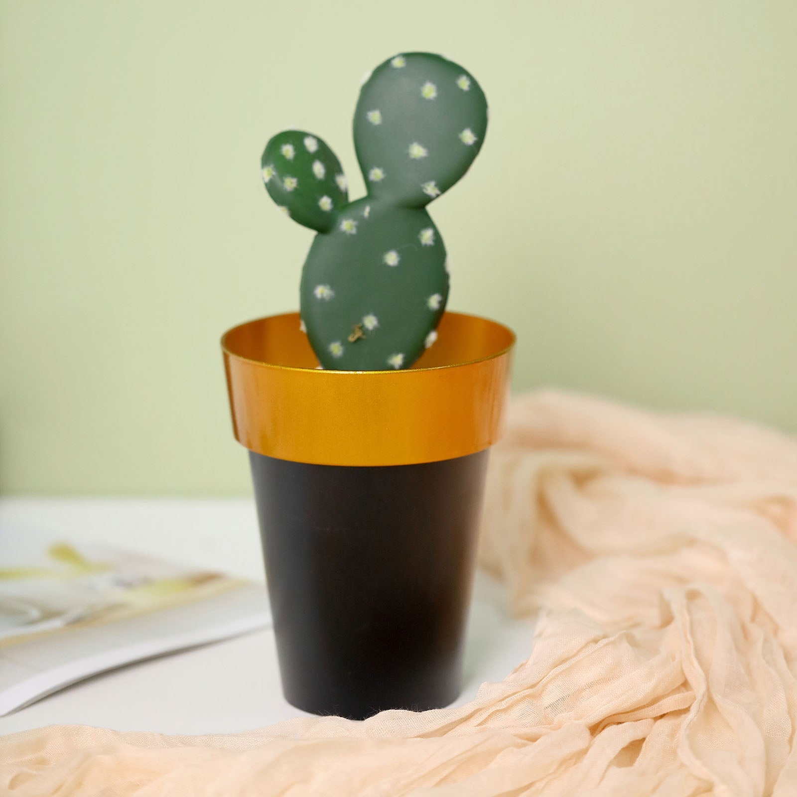 Black and gold rimmed flower pot with a cactus.