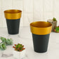 6" black and gold rimmed medium flower plant pots, decorative indoor planters.