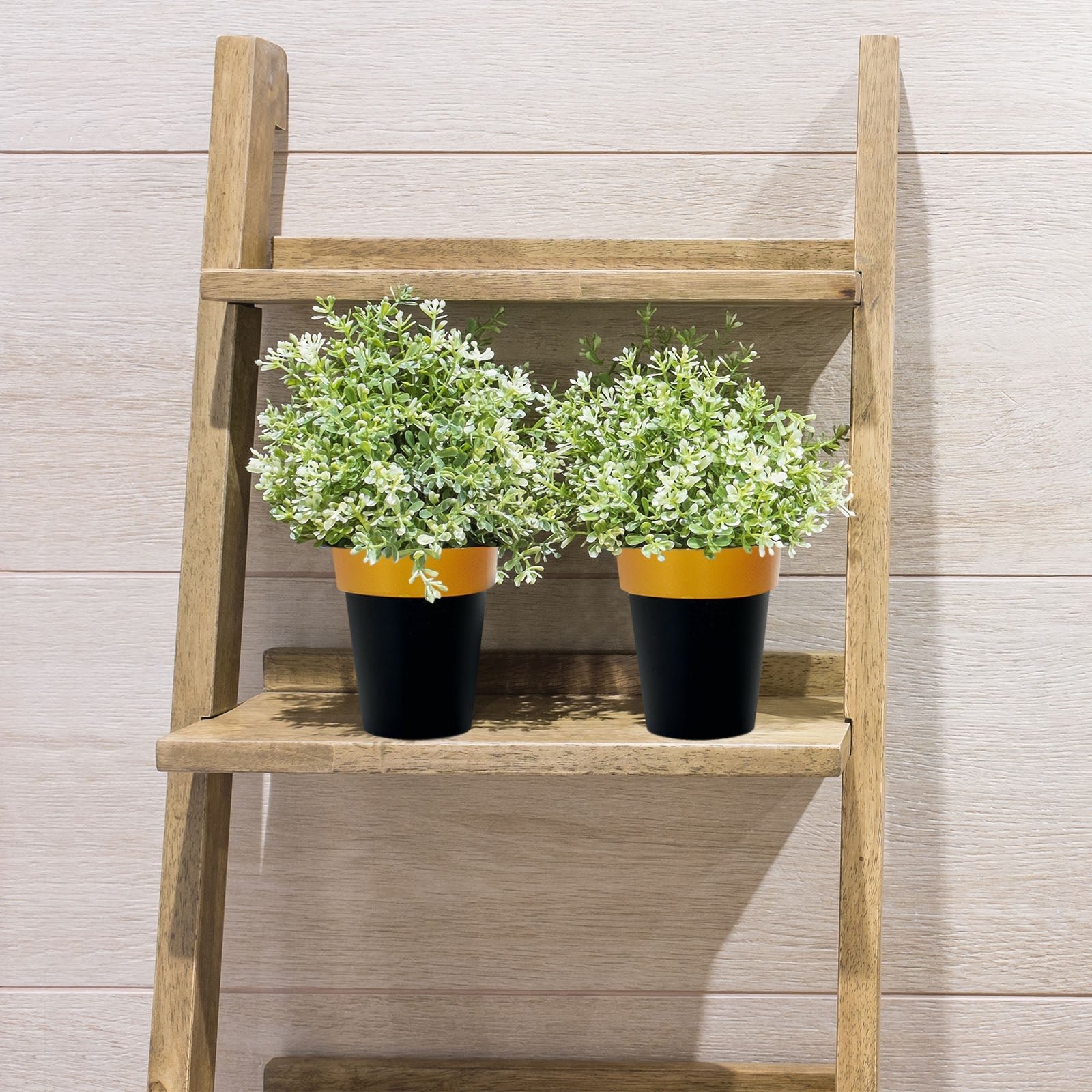 Black flower pots with gold rims on a wooden shelf, holding greenery.