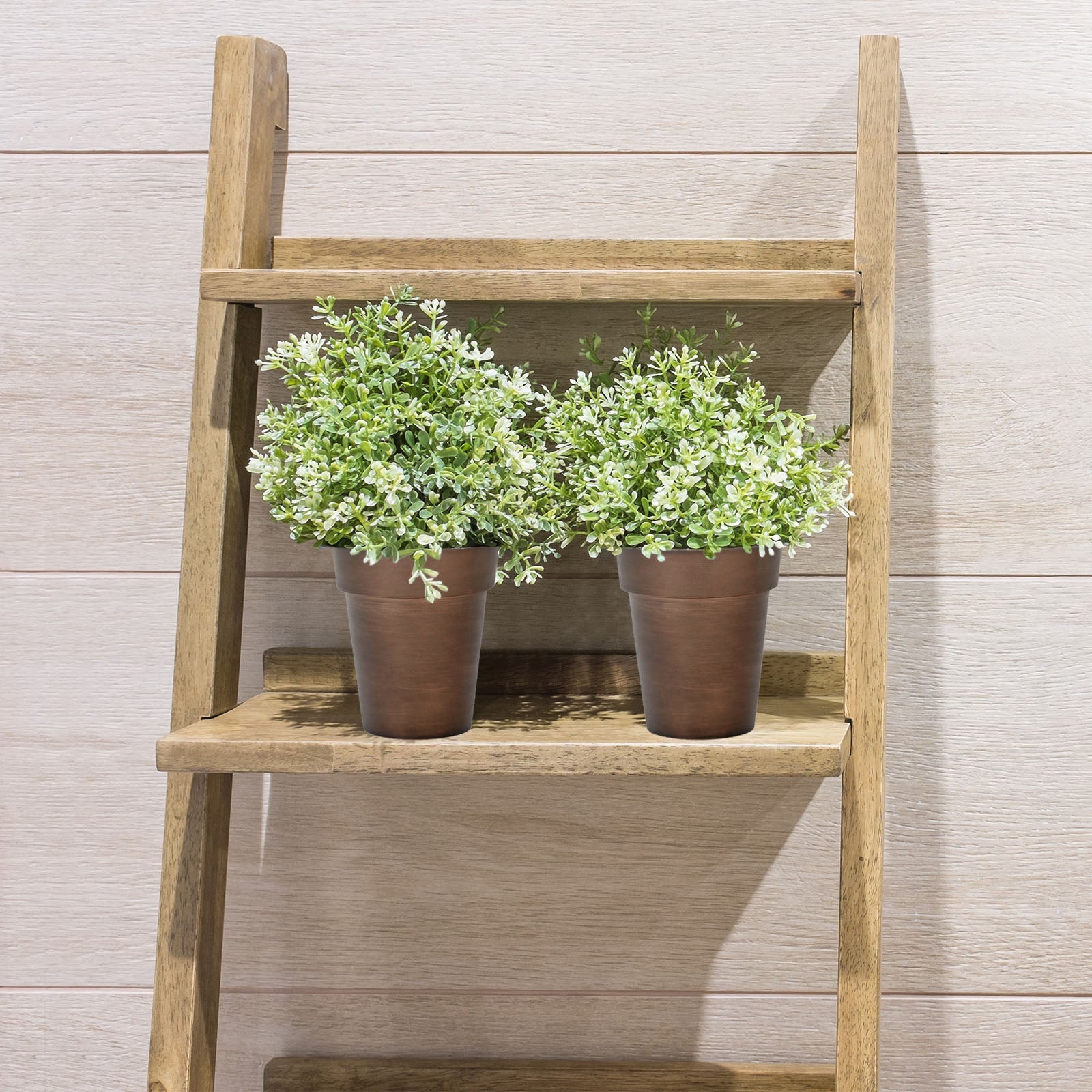 6" rustic brown medium flower plant pots with decorative plants.