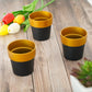 Black and gold rimmed small flower plant pots, decorative indoor planters.