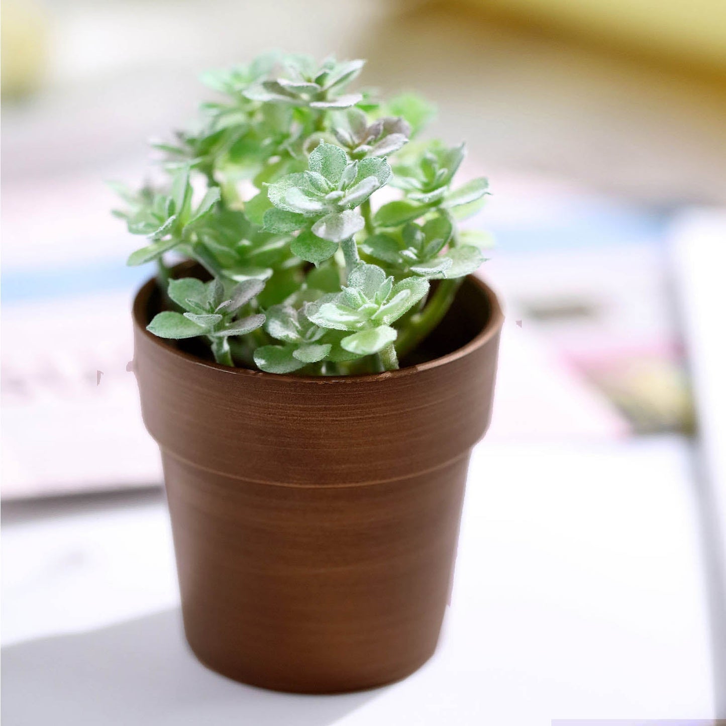 Rustic brown small flower pot with green plant inside.
