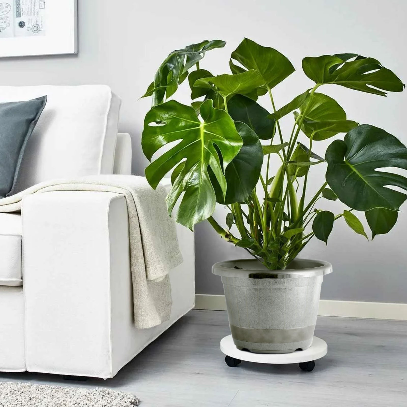 Silver chrome finished large barrel planter pot with green plant indoors.