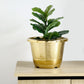 Gold 14 Inch Large Barrel Planter Pot with Shiny Rim