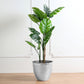Metallic silver textured large indoor flower plant pot with green leaves.