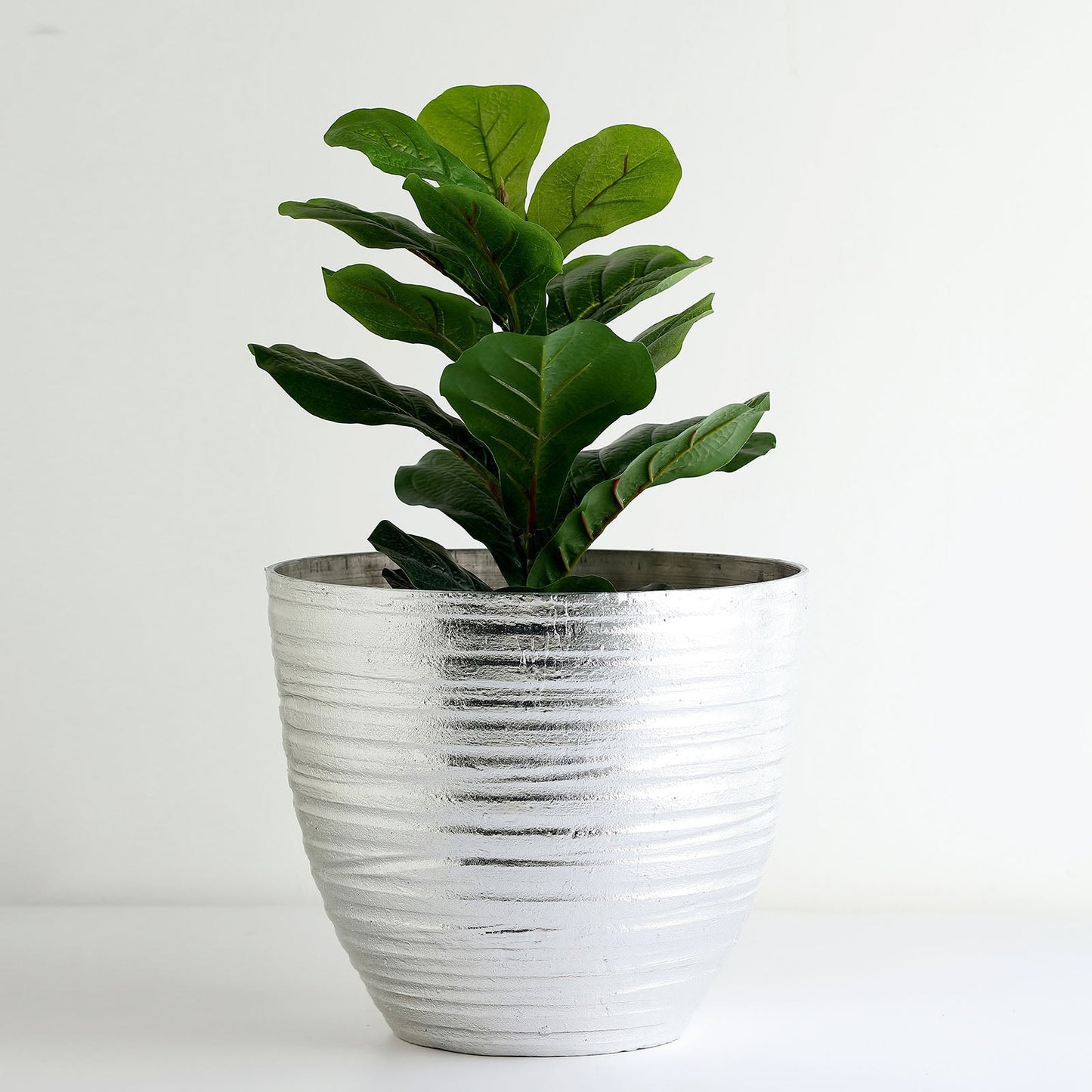 Metallic silver textured large indoor flower plant pot with green foliage.
