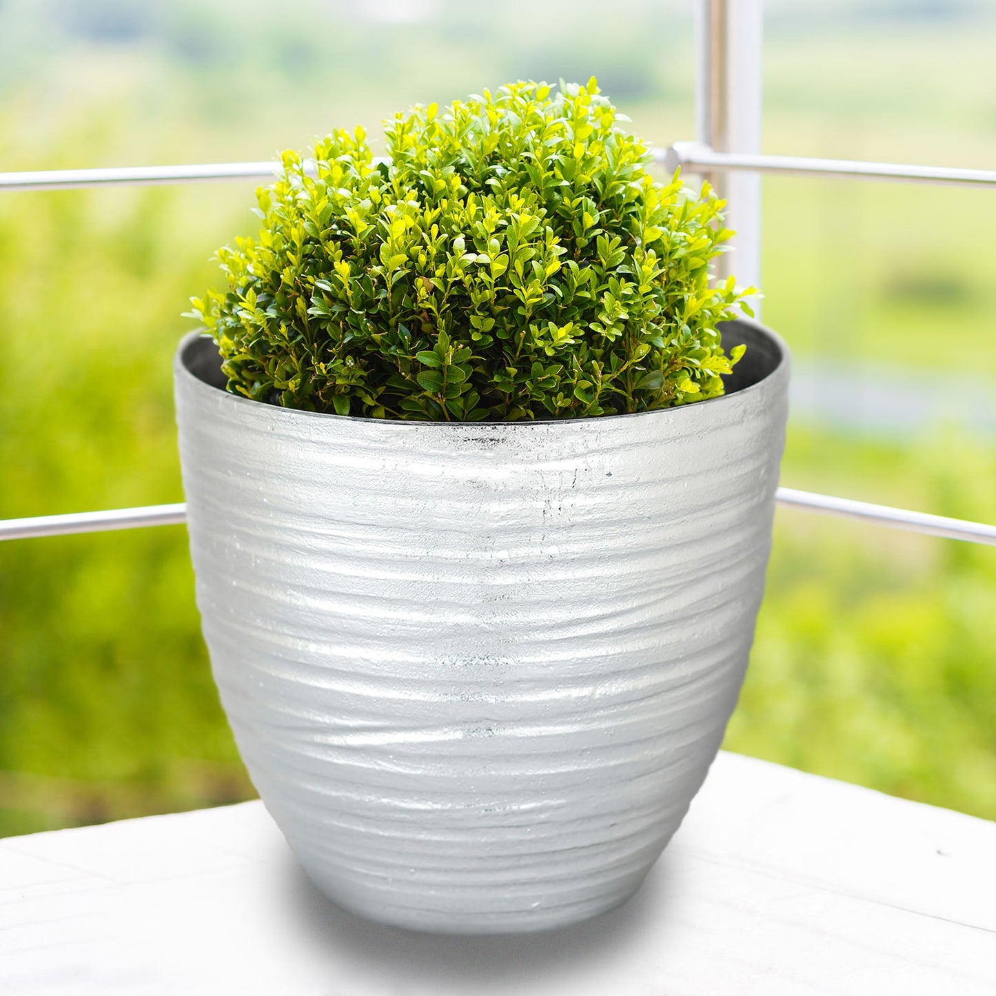 Metallic silver textured large indoor flower pot with green plant.