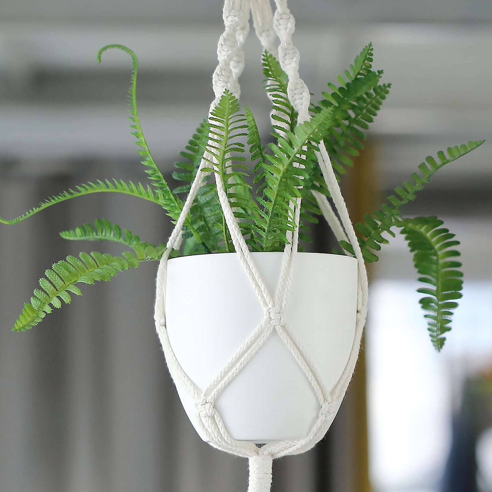 Two Pack White 5.5 Inch Plastic Indoor Planter Pots With Macrame 