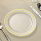 10 Pack | 8inch Très Chic Gold Rim Clear Plastic Dessert Appetizer Plates, Disposable Salad Plates