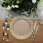 10 Pack | 10inch Très Chic Gold Rim Clear Plastic Dinner Plates, Disposable Party Plates