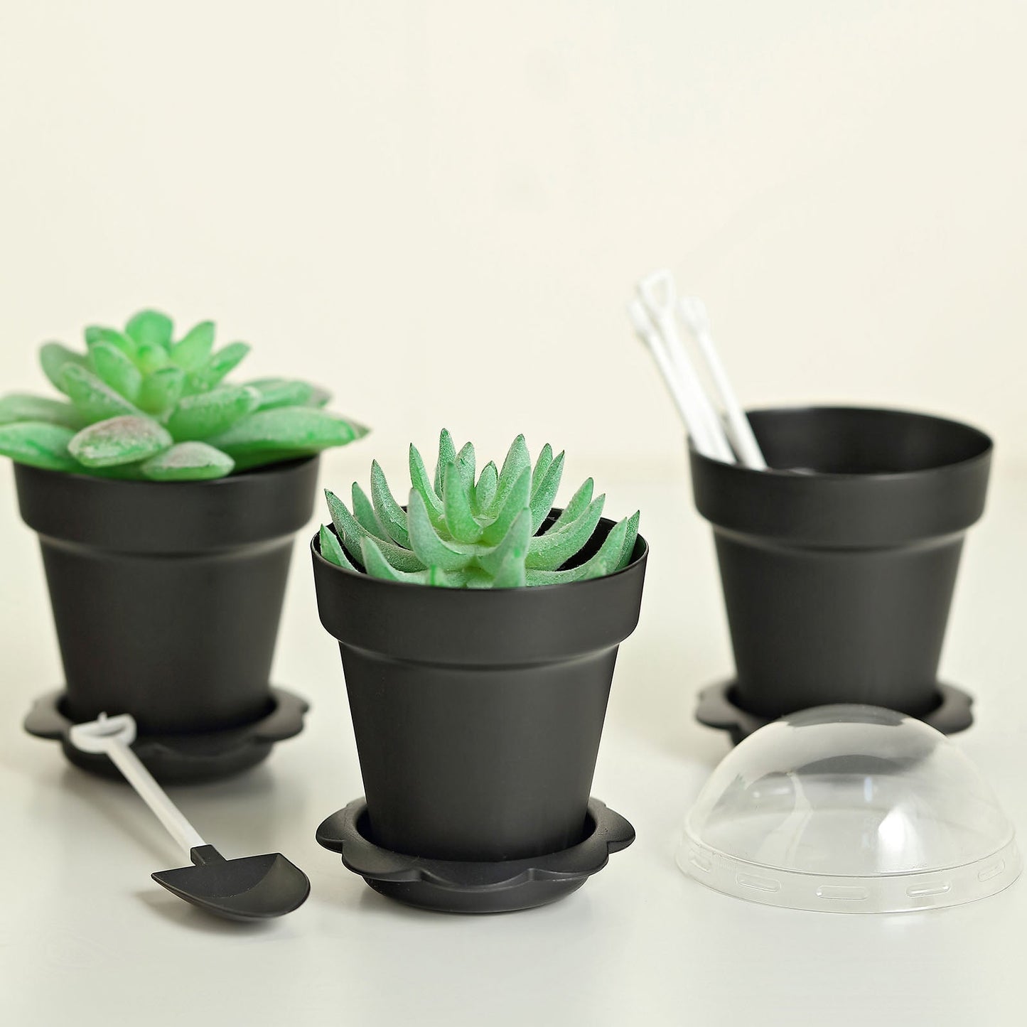 Black small favor jars for succulent planters with accessories.