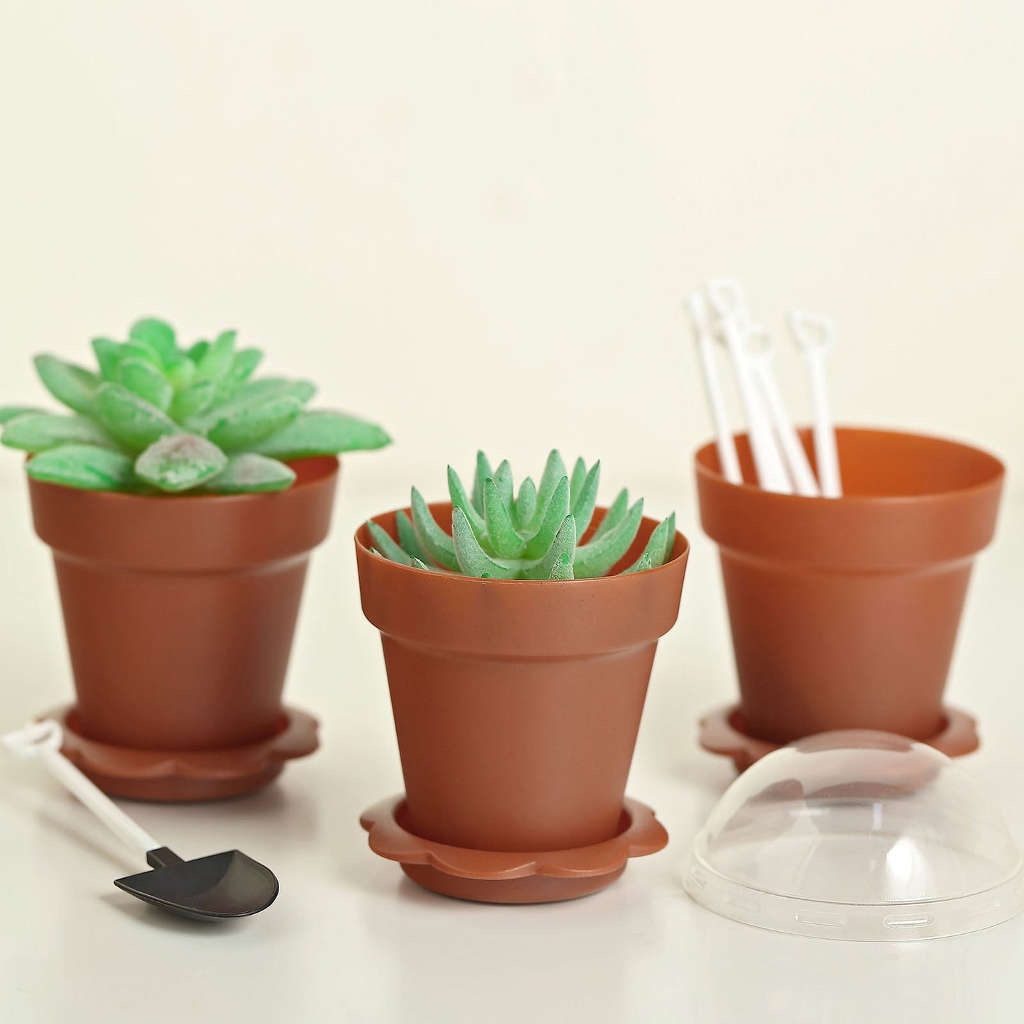 Rust terracotta succulent planter pots with clear lids and trays.