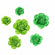 Apple green