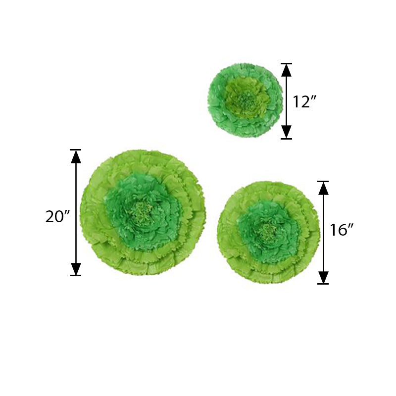 6 Multi Size Pack | Carnation Mint Green Dual Tone 3D Wall Flowers Giant Tissue Paper Flowers - 12",16",20"