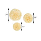 Carnation ivory 3D wall tissue paper flowers in three sizes: 12", 16", 20".