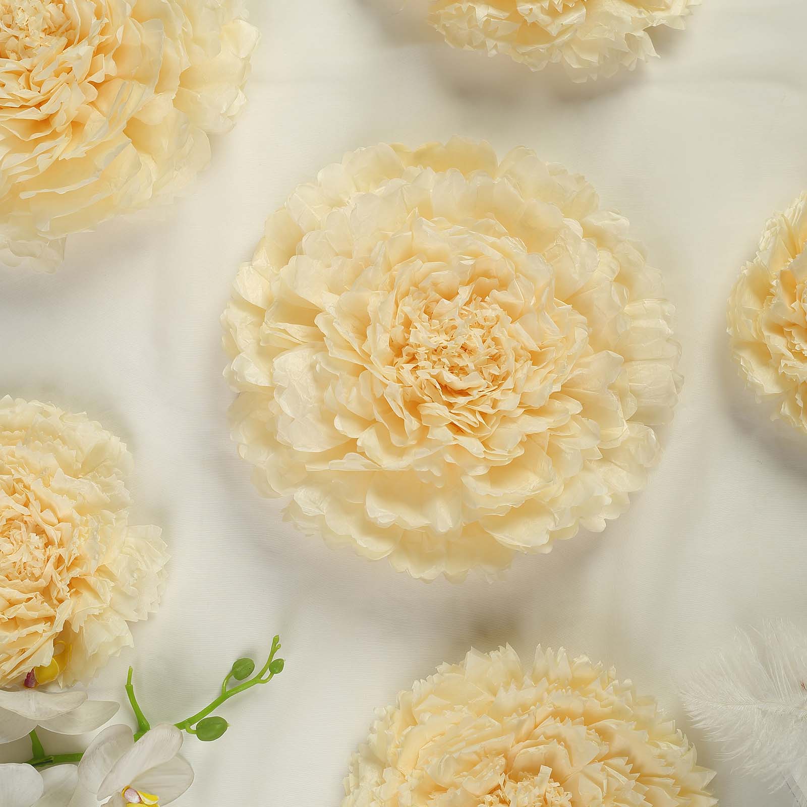 Carnation ivory 3D wall tissue paper flowers in various sizes.