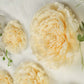 Cream 3D wall tissue paper flowers in various sizes.