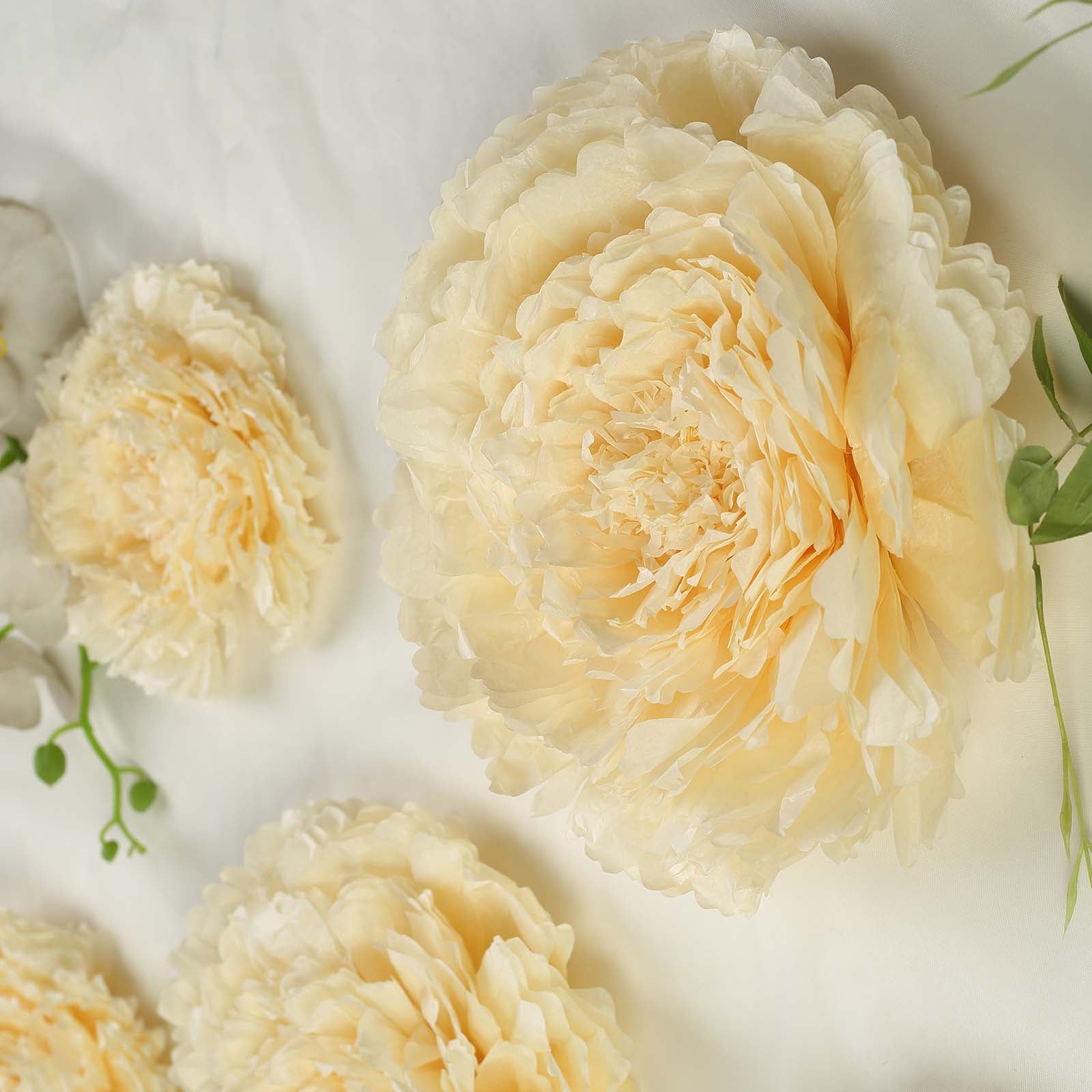 Cream 3D wall tissue paper flowers in various sizes.