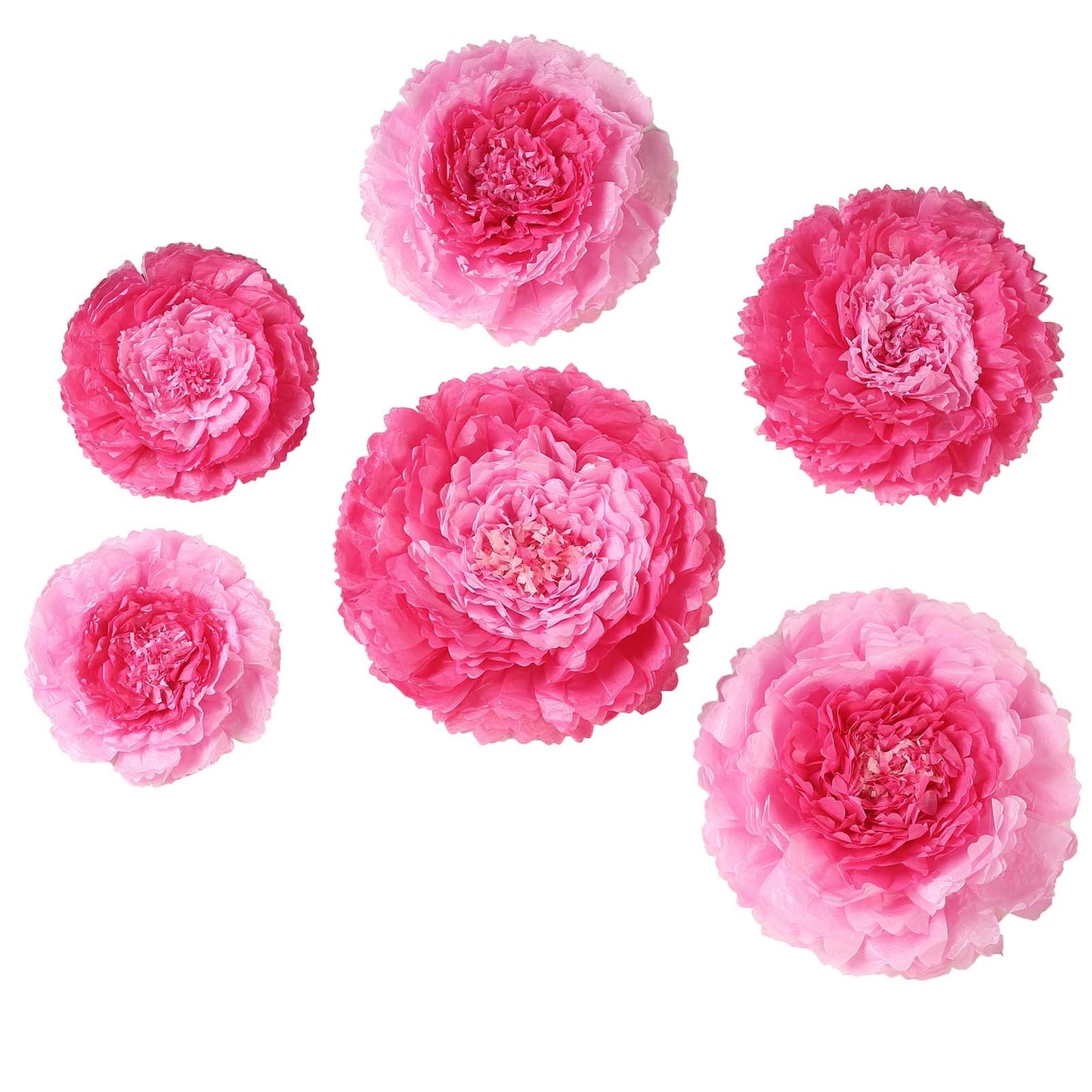 6 Multi Size Pack | Carnation Pink/Fuchsia 3D Wall Flowers Giant Tissue Paper Flowers - 12",16",20"