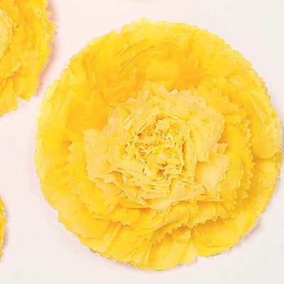 DIY Crafting Potential with Paper Flowers