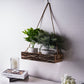Natural jute rope twine string for DIY crafts, ideal for hanging planters.