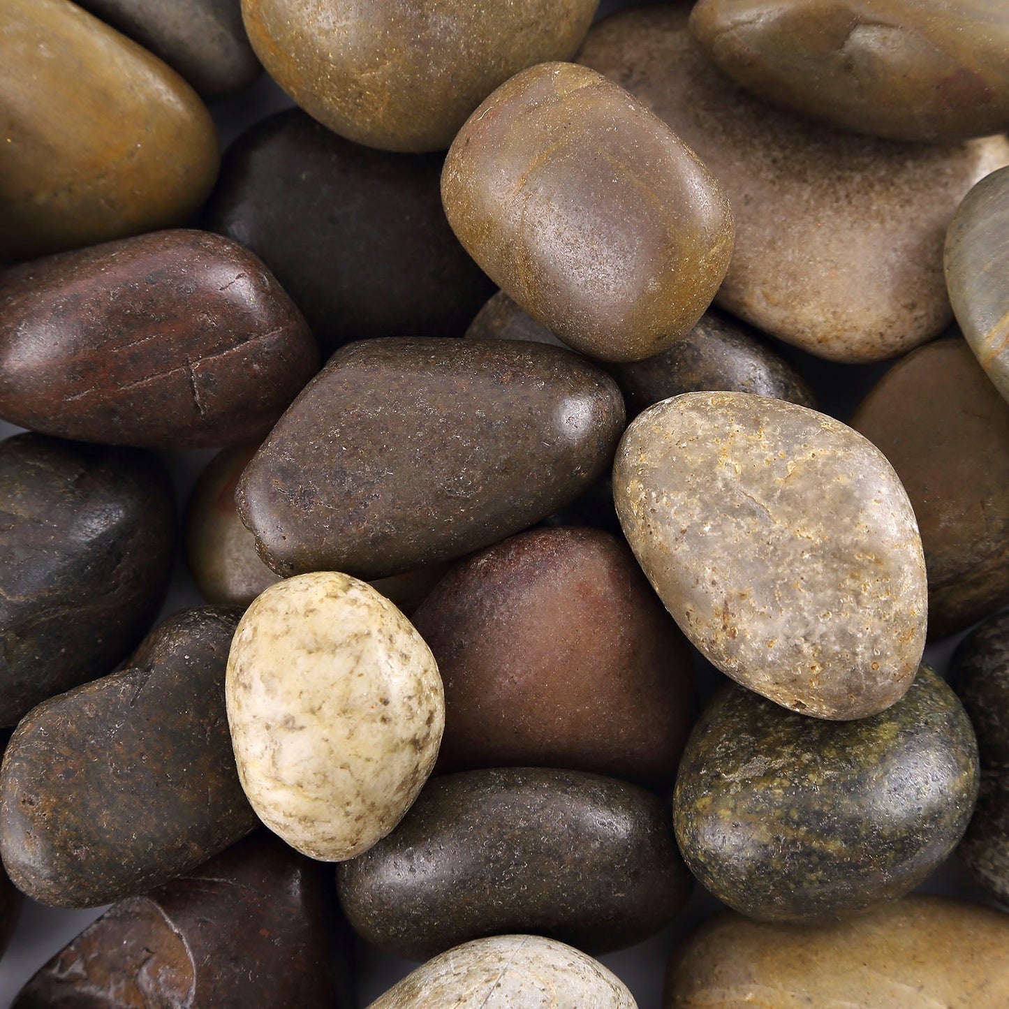 Assorted natural polished decorative stones for vases and landscaping. #whtbkgd
